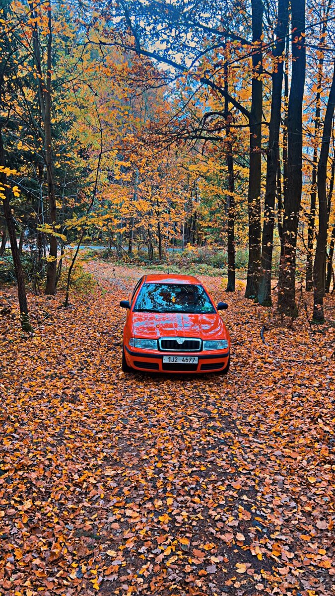 Škoda Octavia 1 - 2