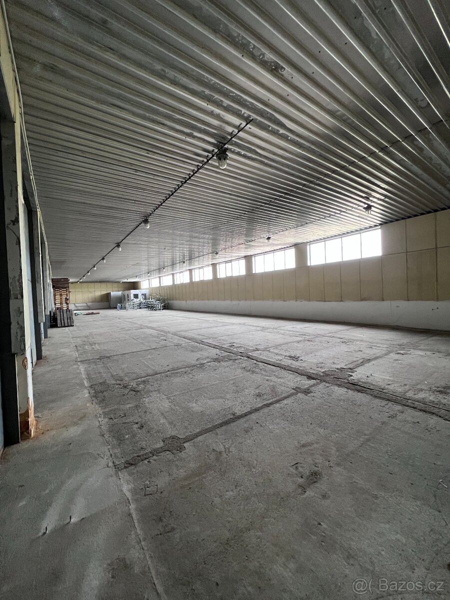 Pronájem haly - 2