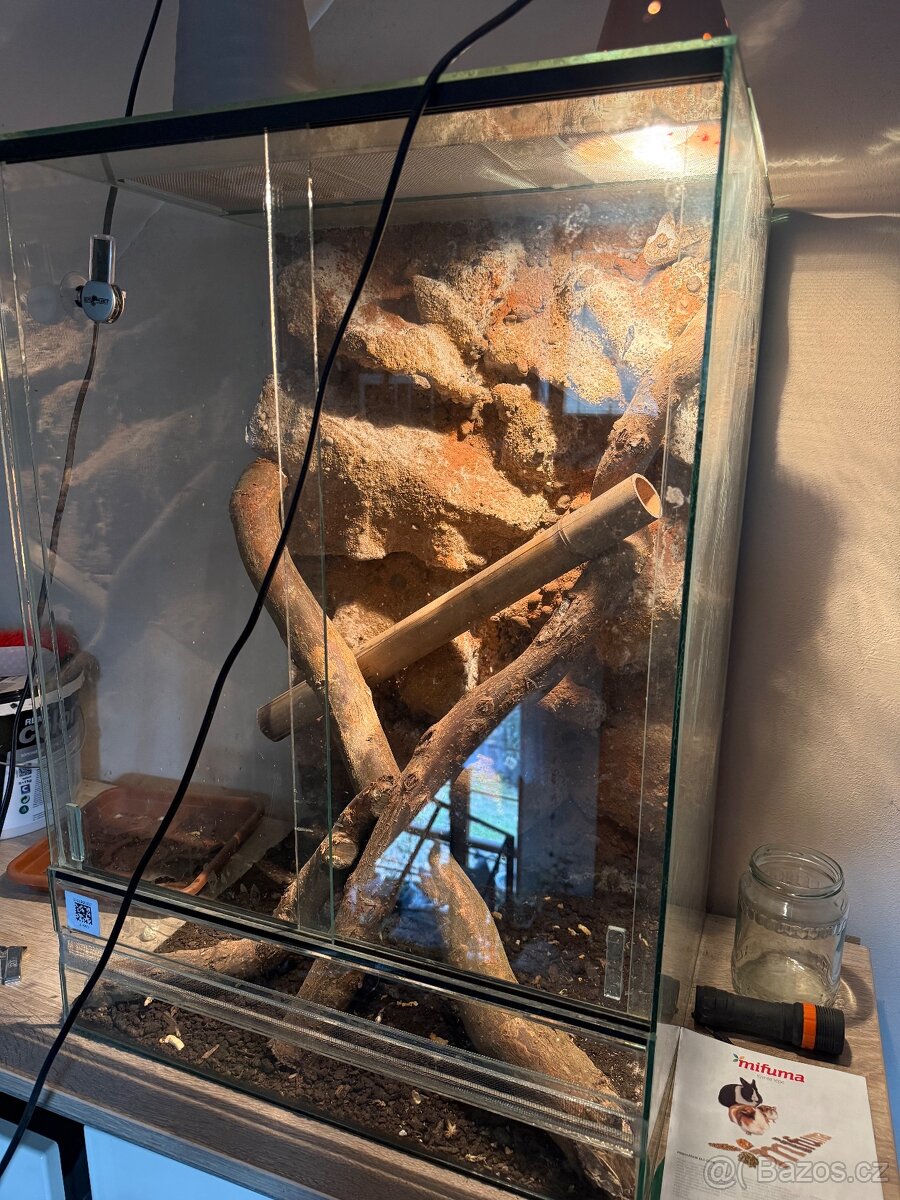 Prodám terárium s chameleonem - 2