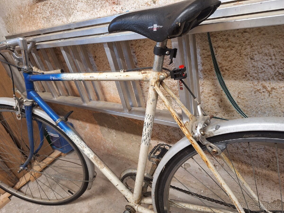 Eska závodnička - 2