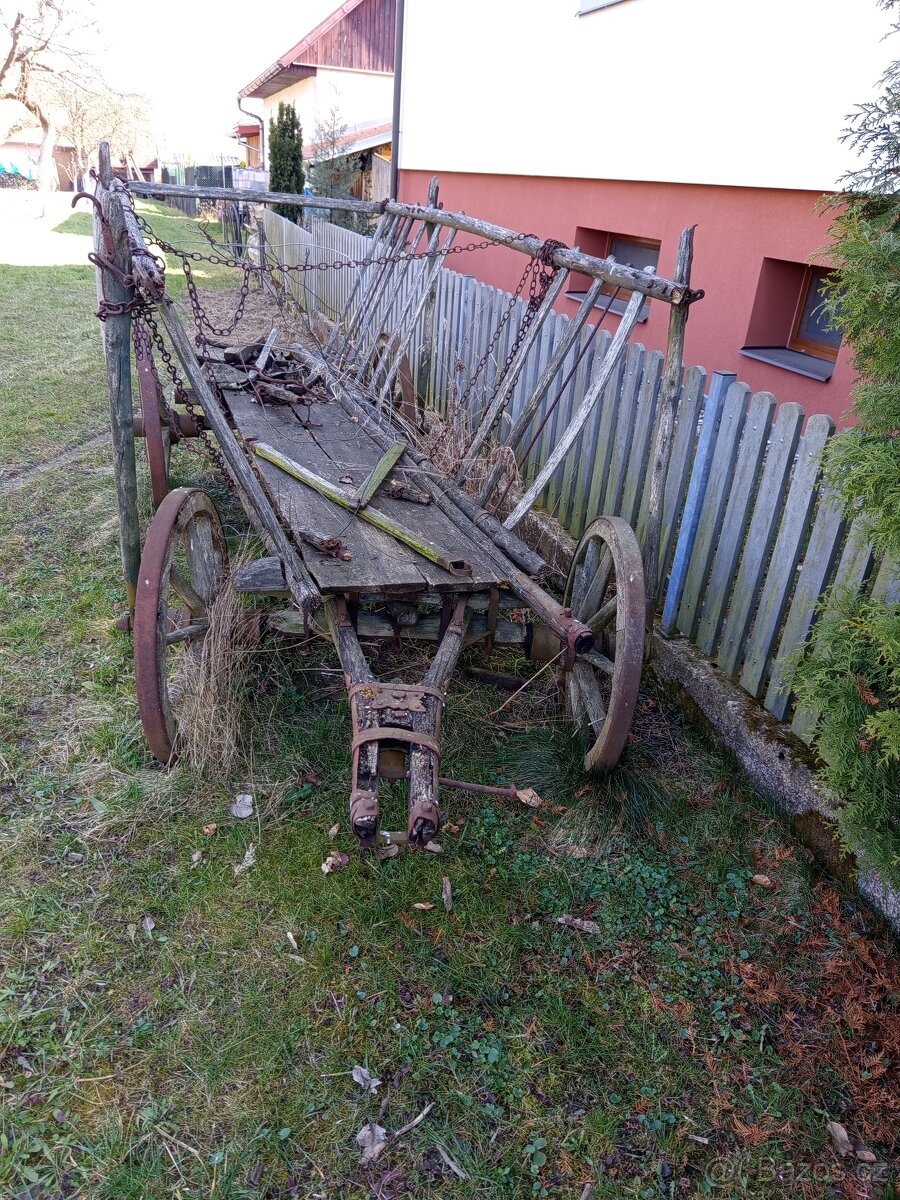 Žebřiňák-vůz - 2