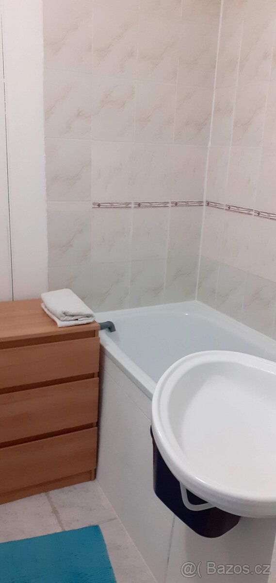 Pronajmu byt 2+1 Uherský Brod - 2
