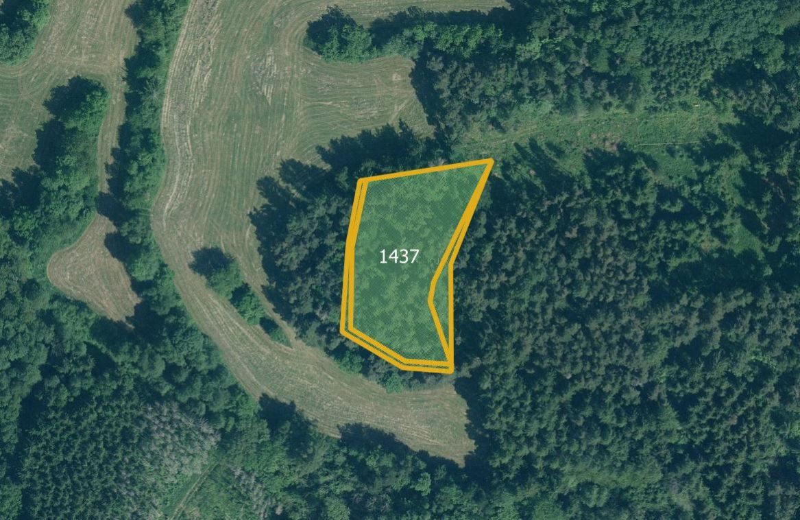 Zemědělská půda, prodej, Škůdra, Strašice, Strakonice - 2