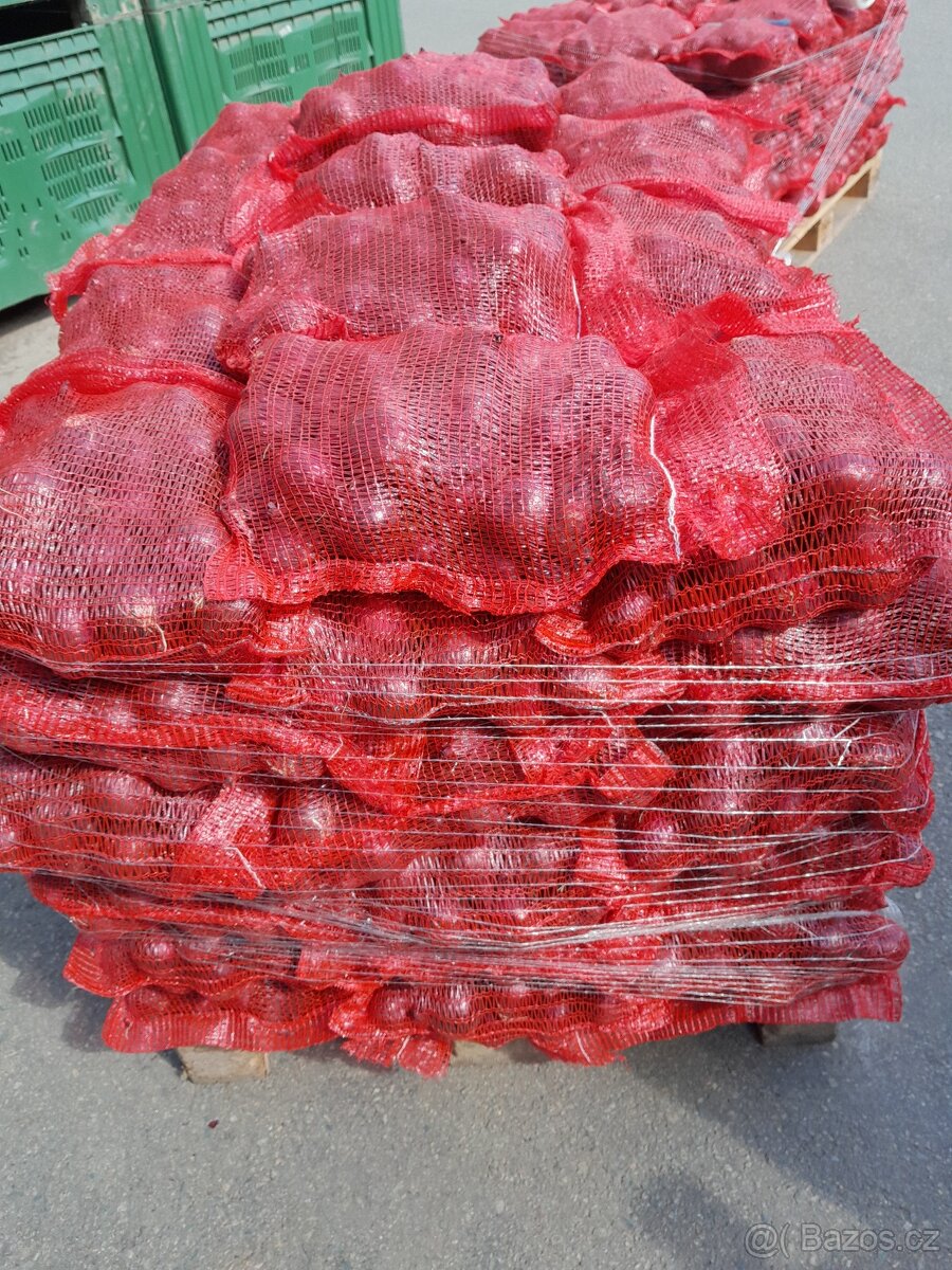 Cibule červená - 2