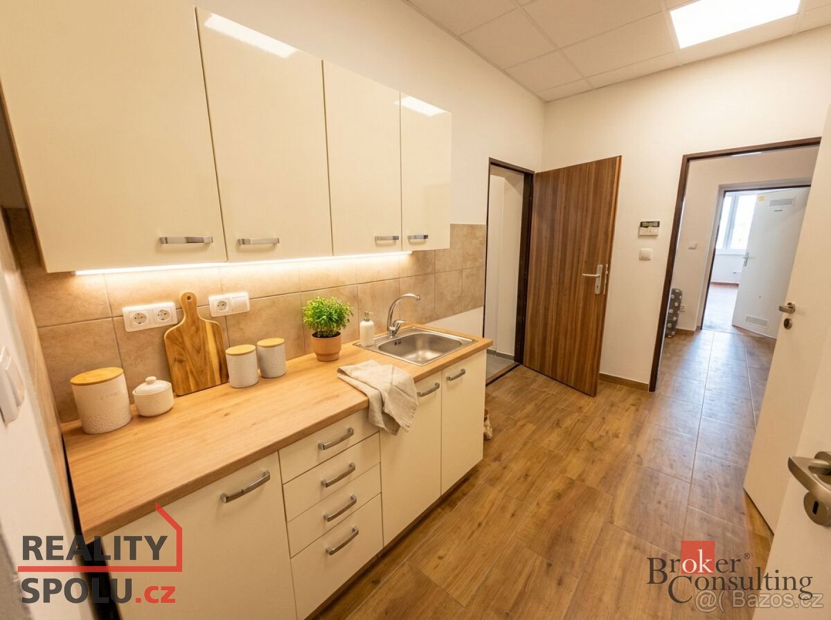 Pronájem, komerční/obchodní prostory, 99 m2, Masarykova 432/ - 2