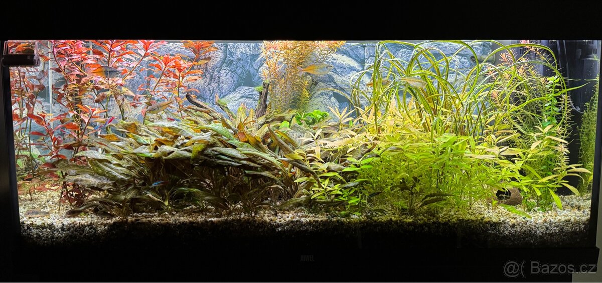Prodám akvárium Juwell RIO LED 240 - 2