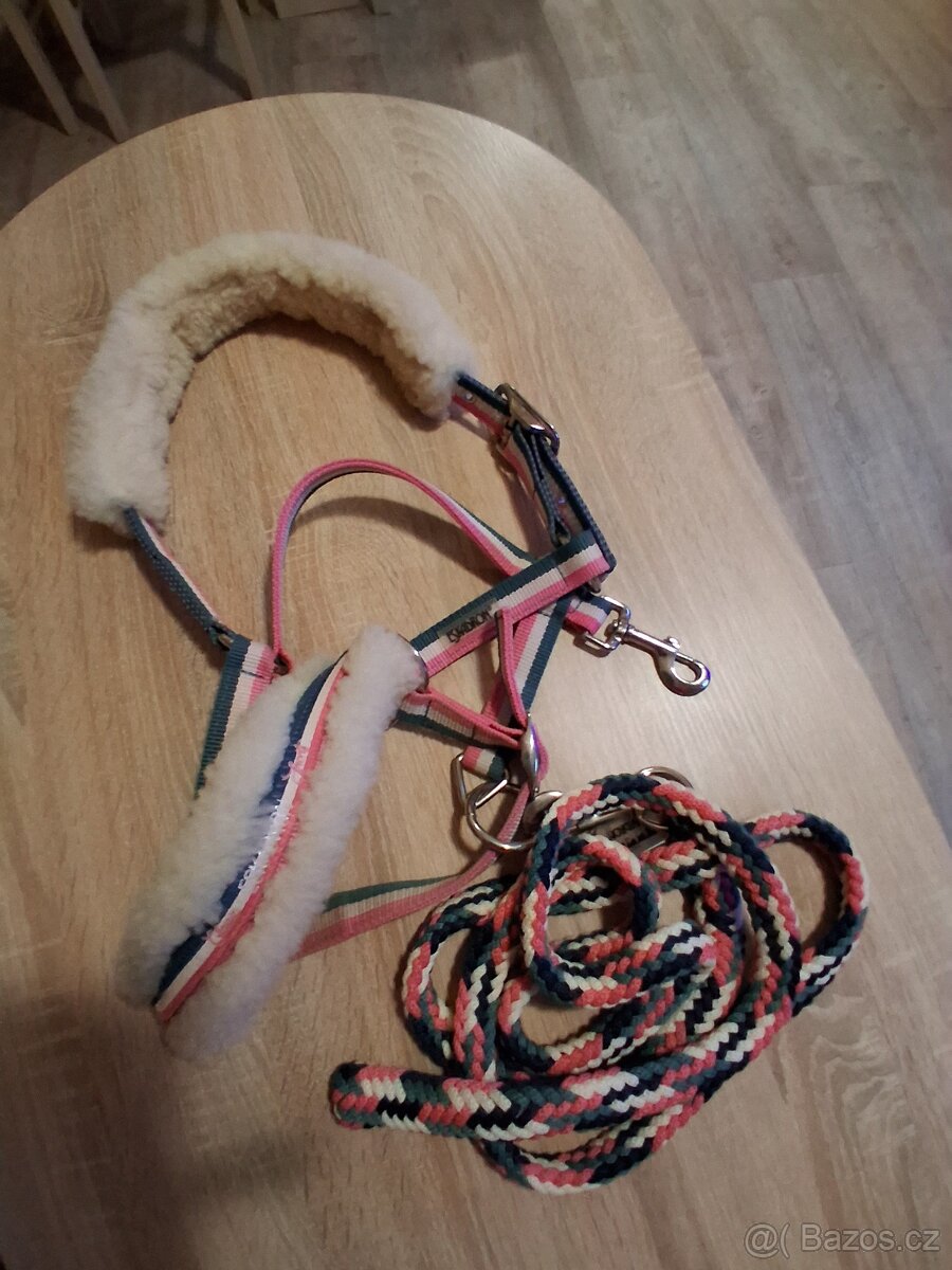 Ohlavka eskadron - 2