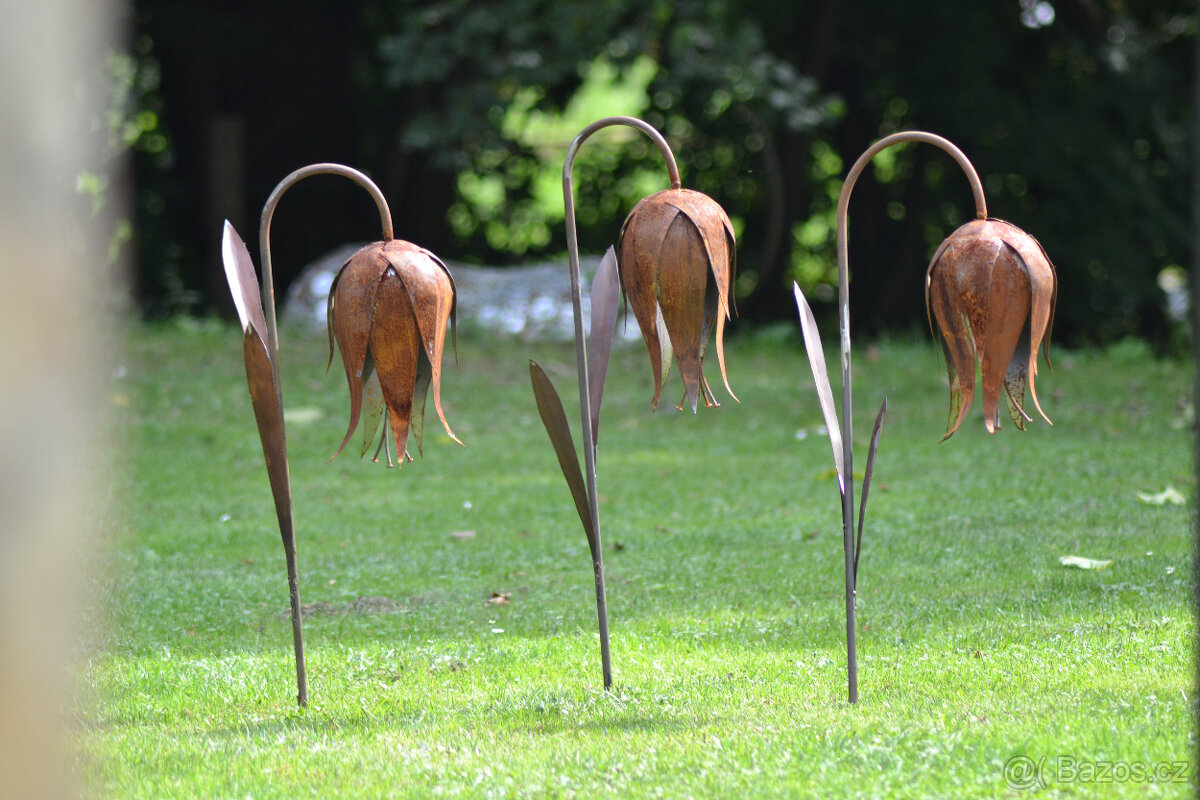 Květina zvonek sólo - 2