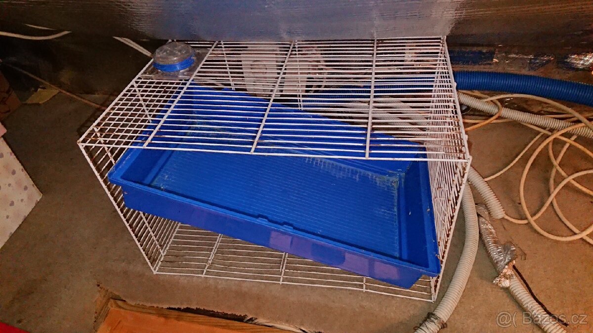 Klece - 2