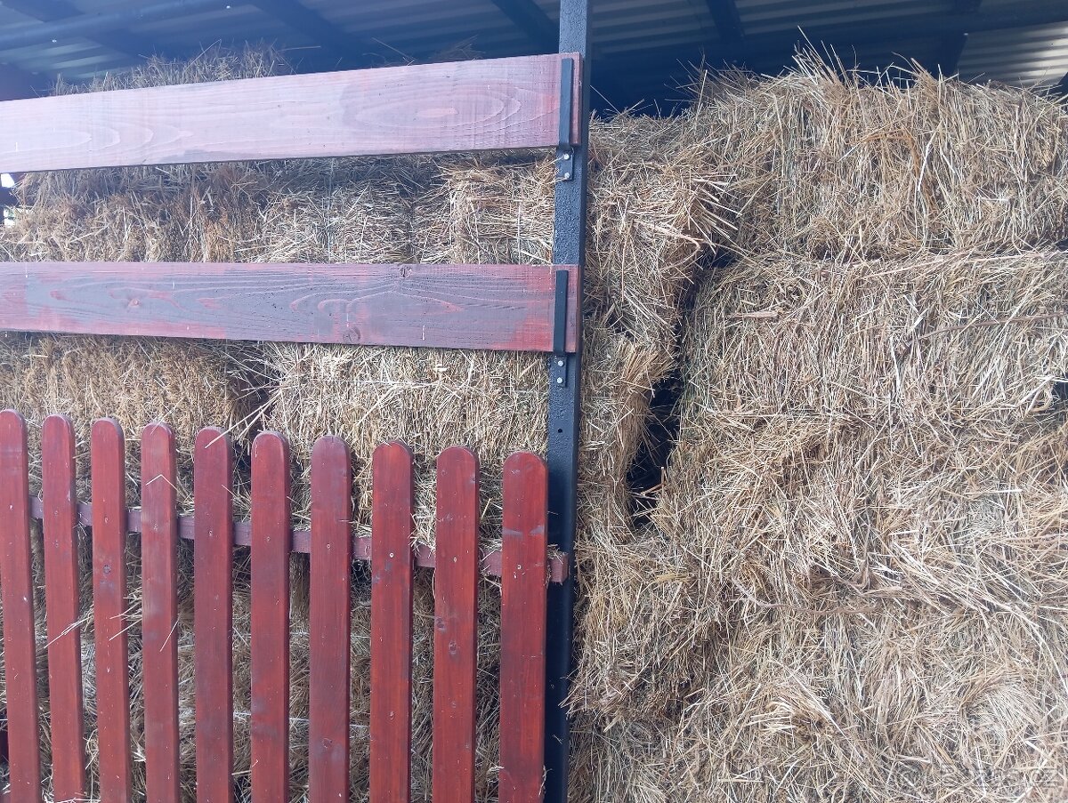 Pšenice 22e a seno 2.7 e kus - 2