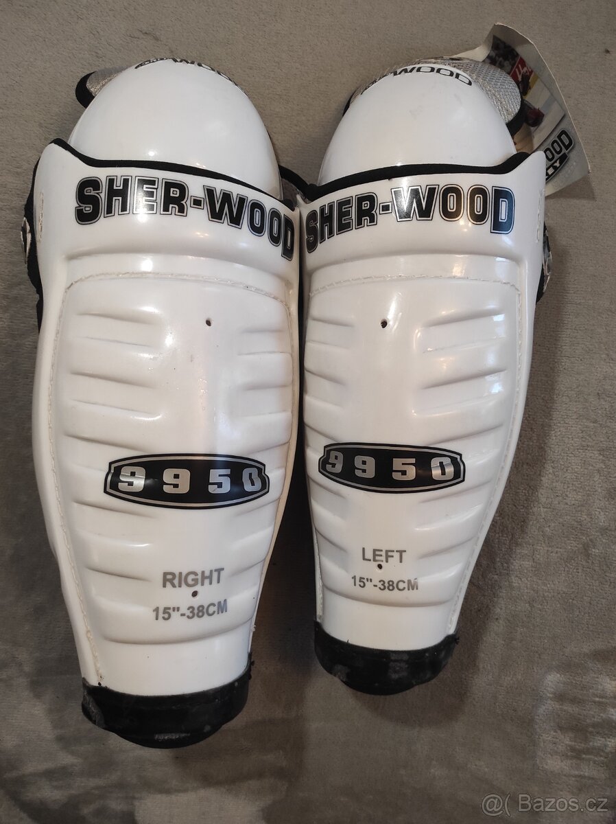 Hokejové holeně - 2