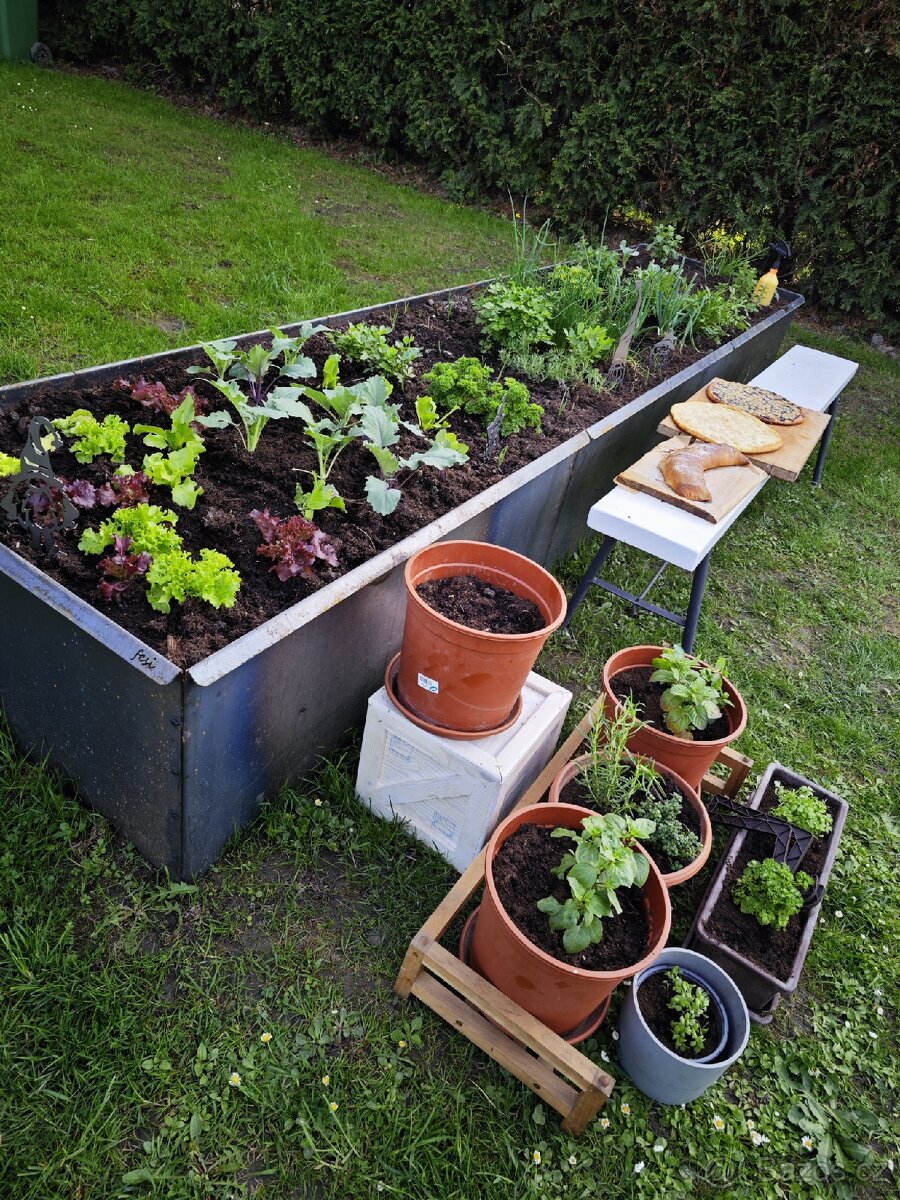Vyvýšený záhon - 2