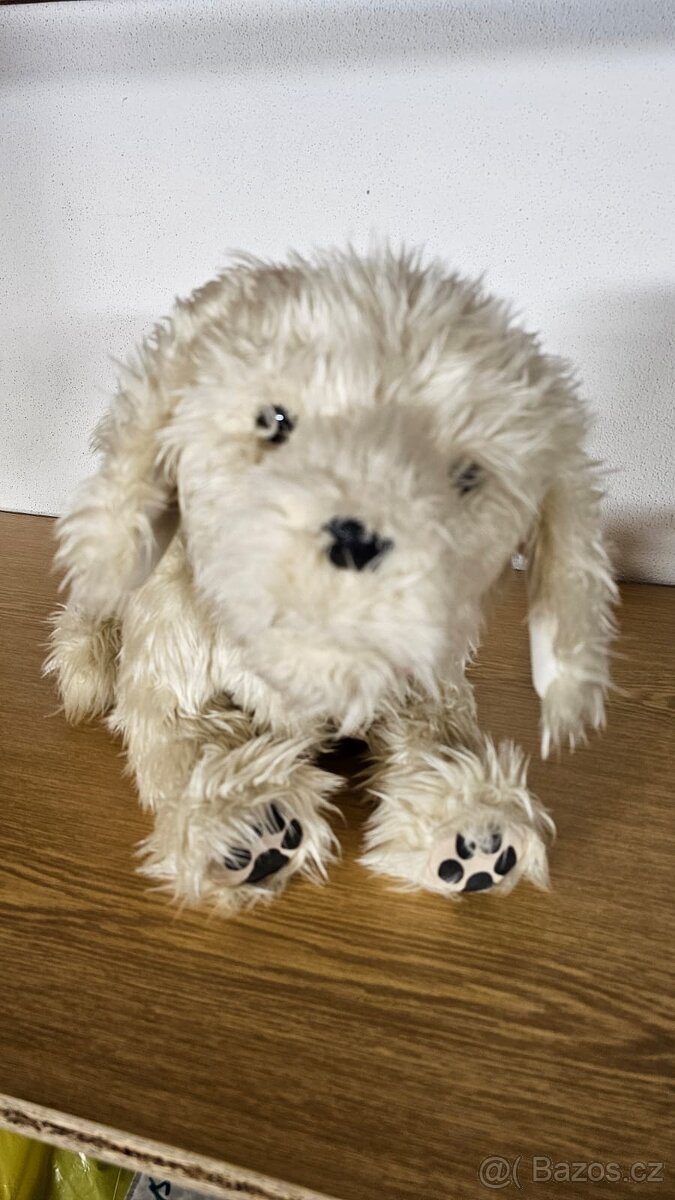 Prodám interaktivního - 2