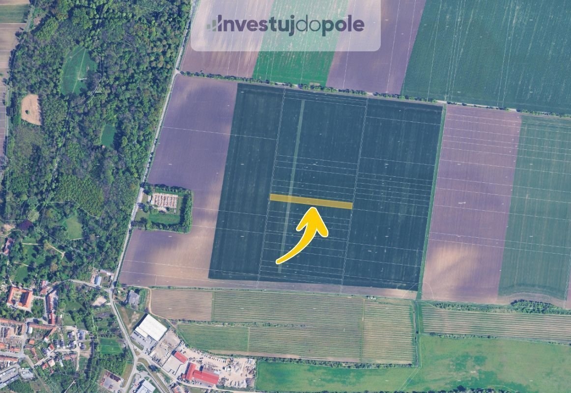 Prodej pole 3 674 m², Sokolnice, ev.č. 2025-07-02-3 - 2