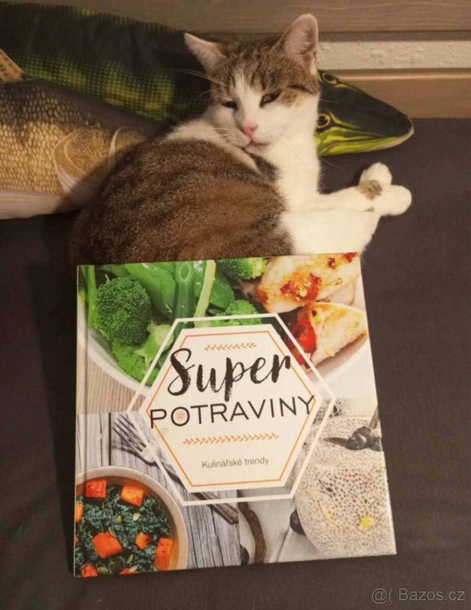 Kuchařka fit receptu - 2