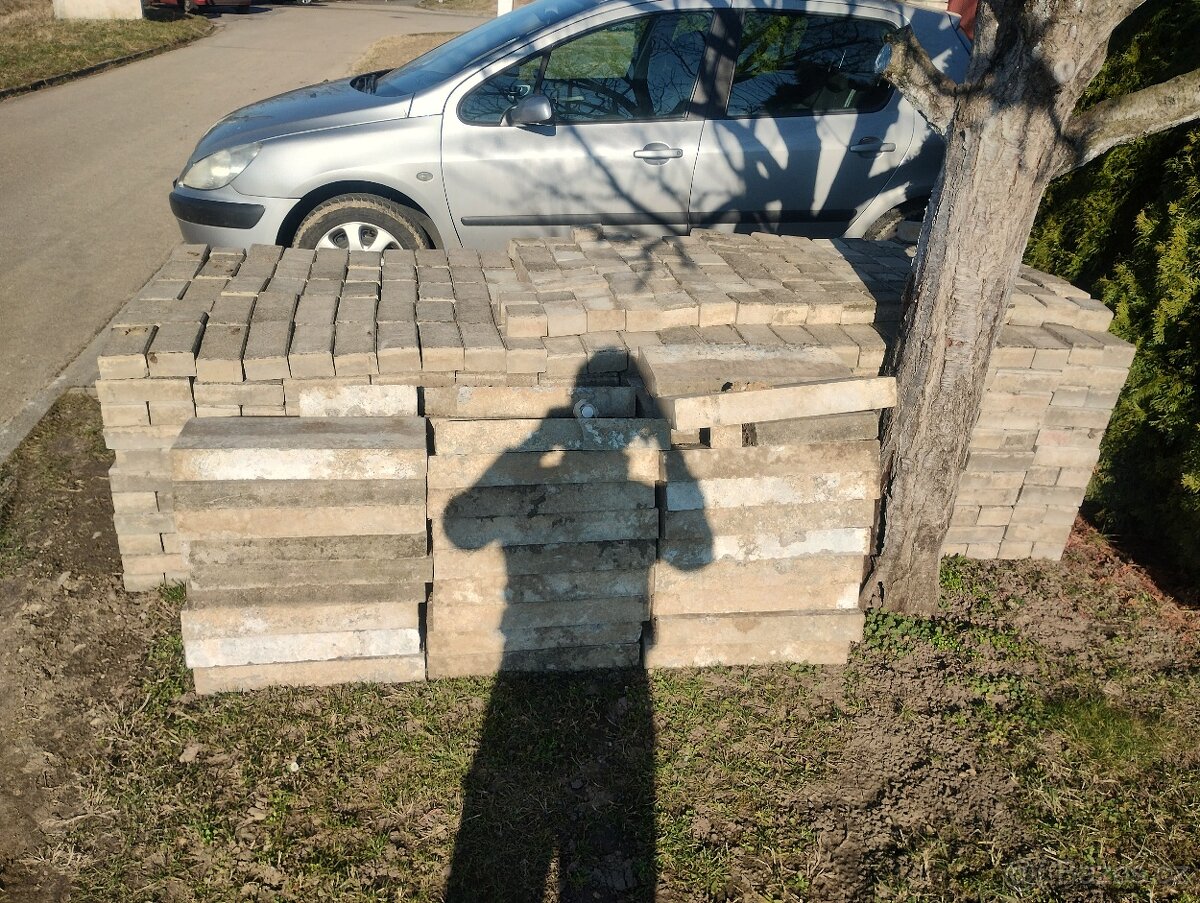 Zámková dlažba 10x20x5 - 2