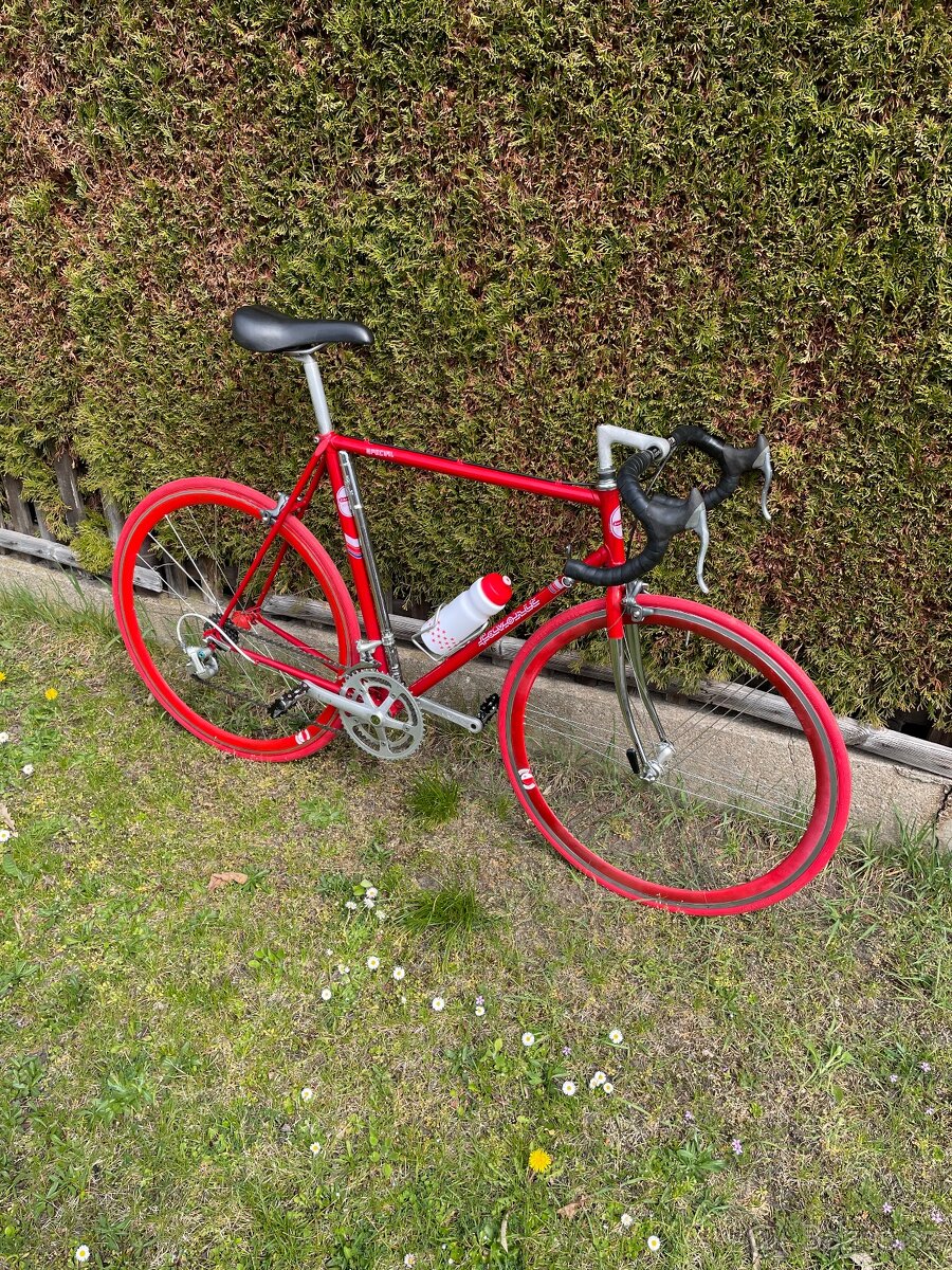 2x silniční kolo plášťové 58cm - 2