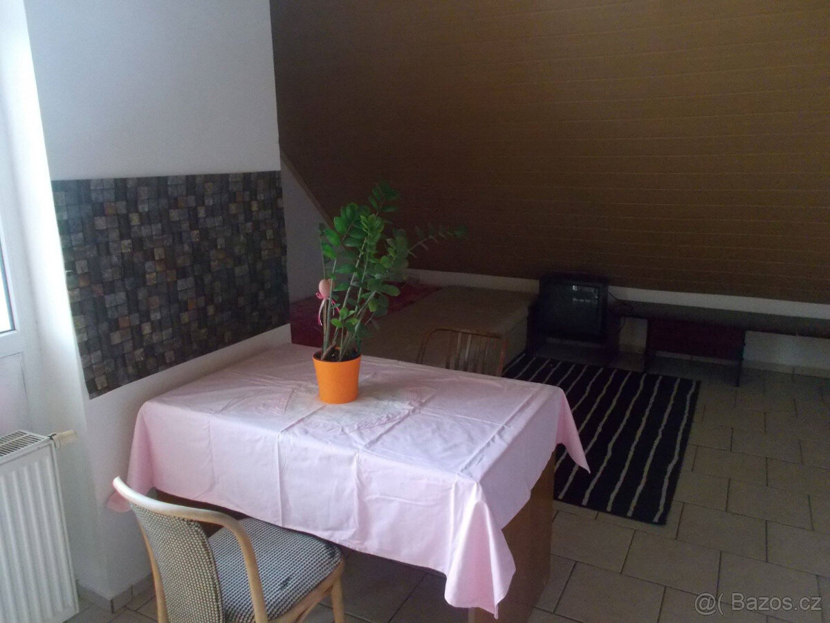 PRONÁJEM APARTMÁNU - 2