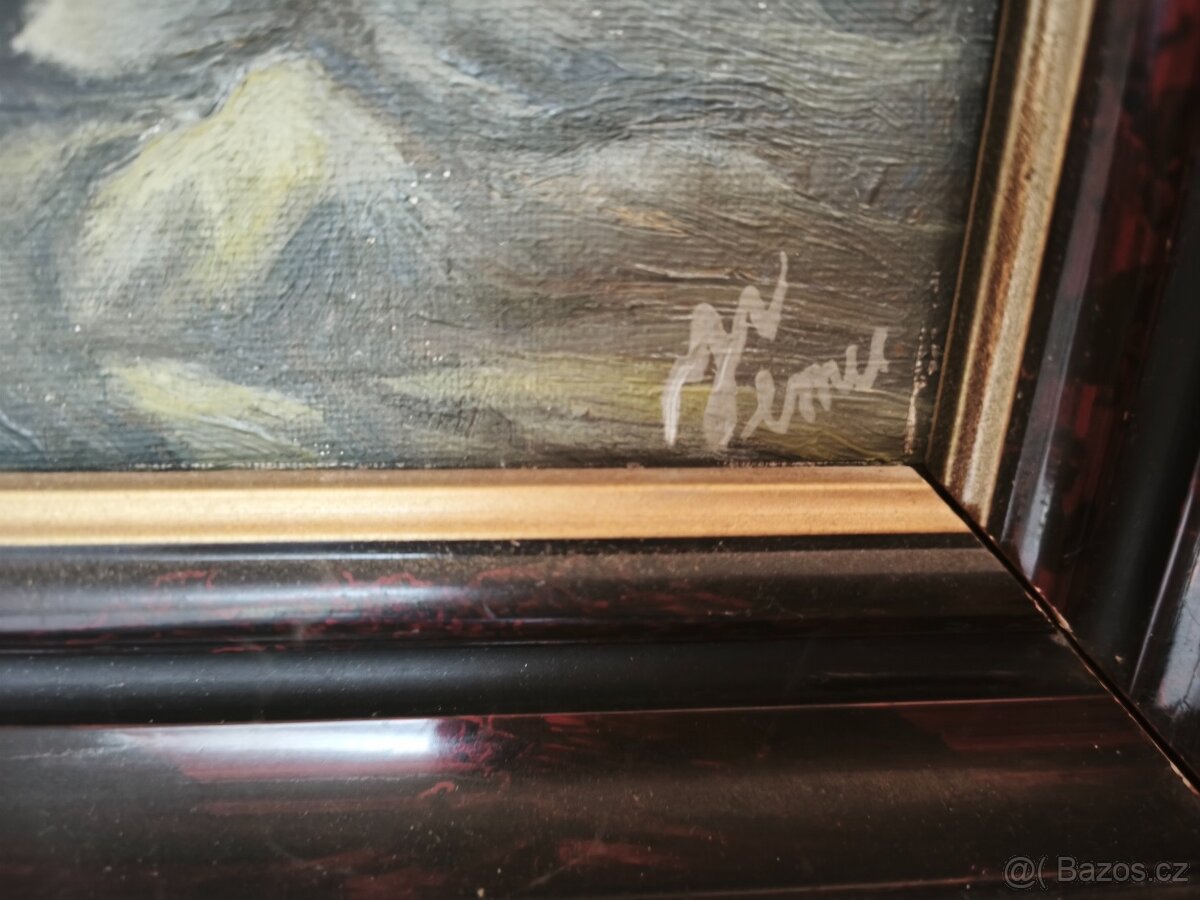 Prodám obraz - 2
