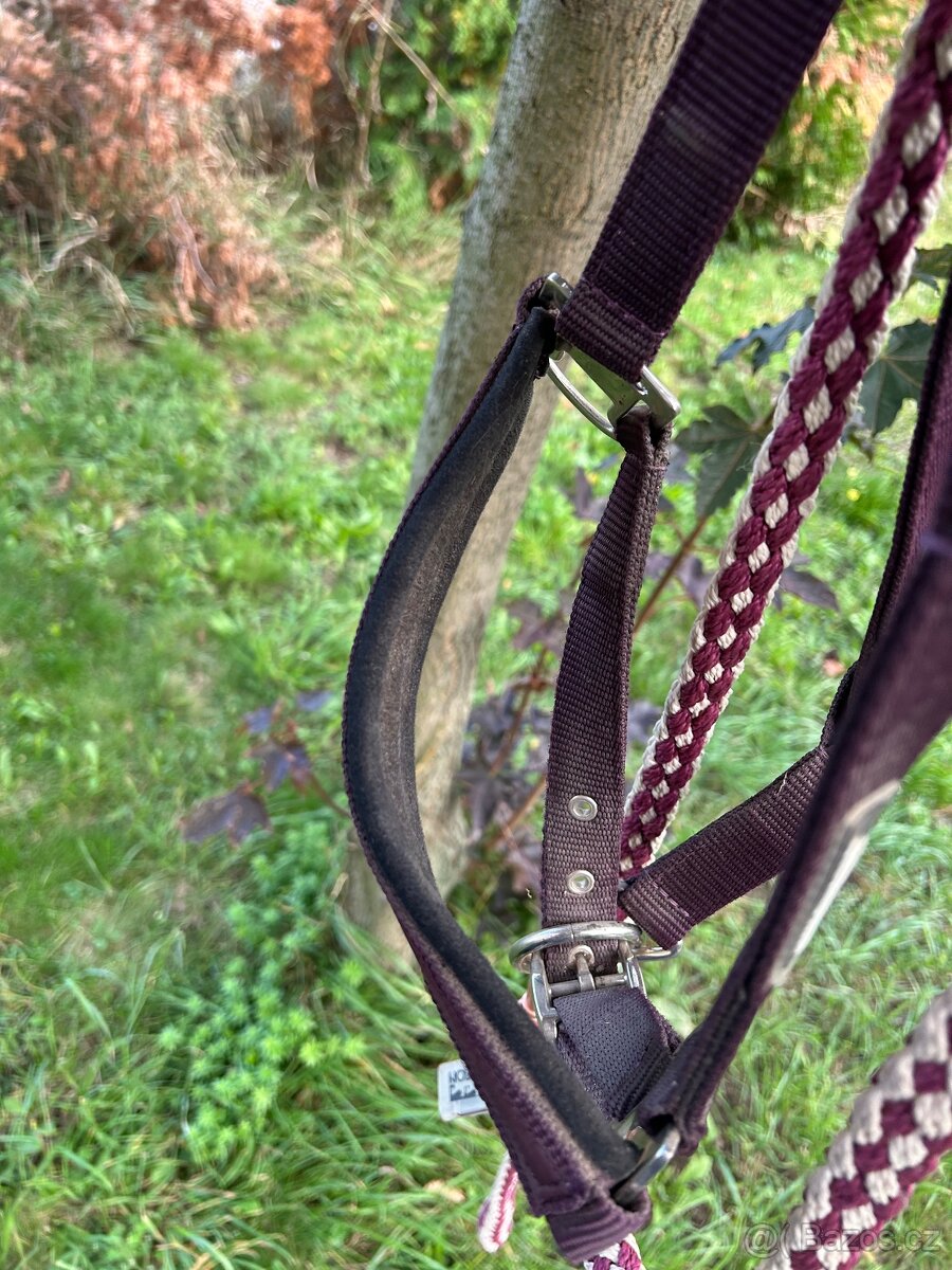 Eskadron ohlávka + vodítko vínová - 2