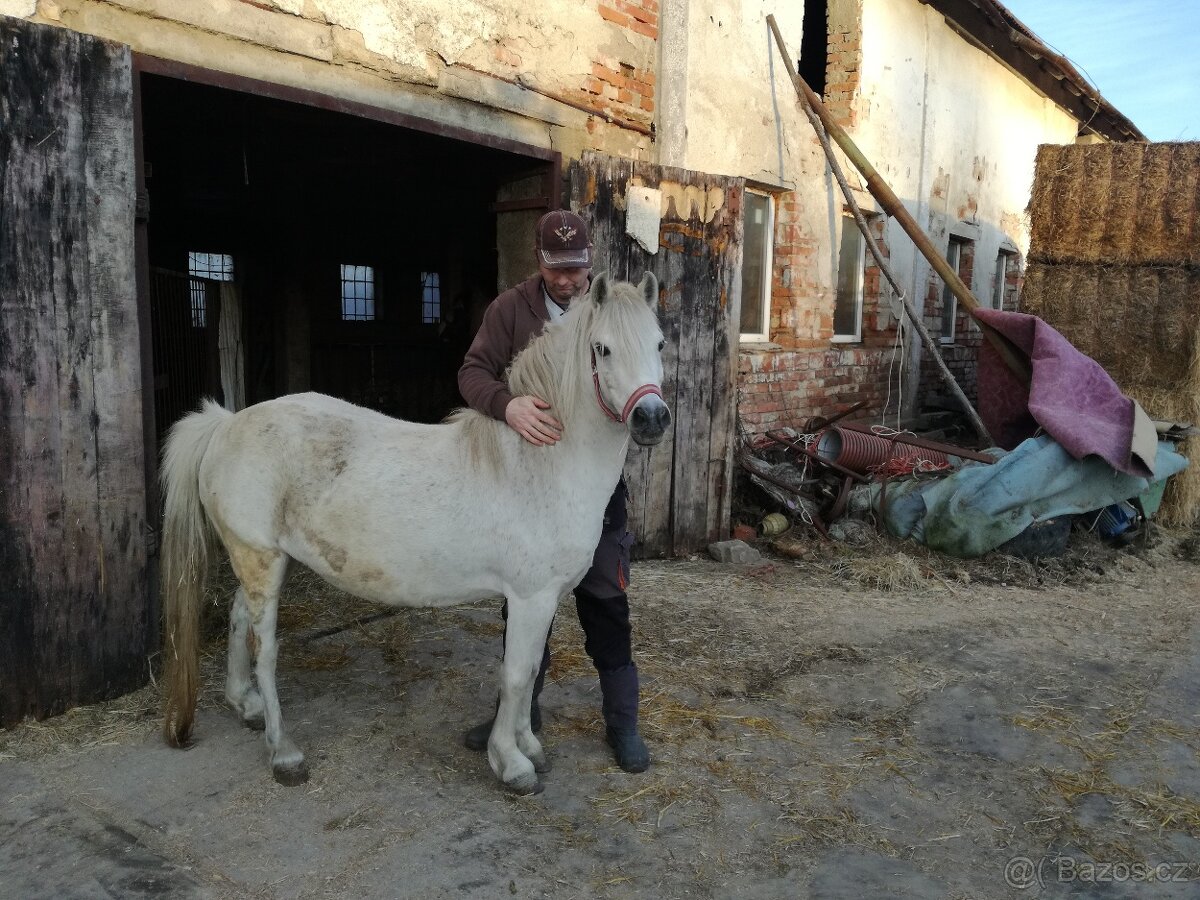 Poník - 2