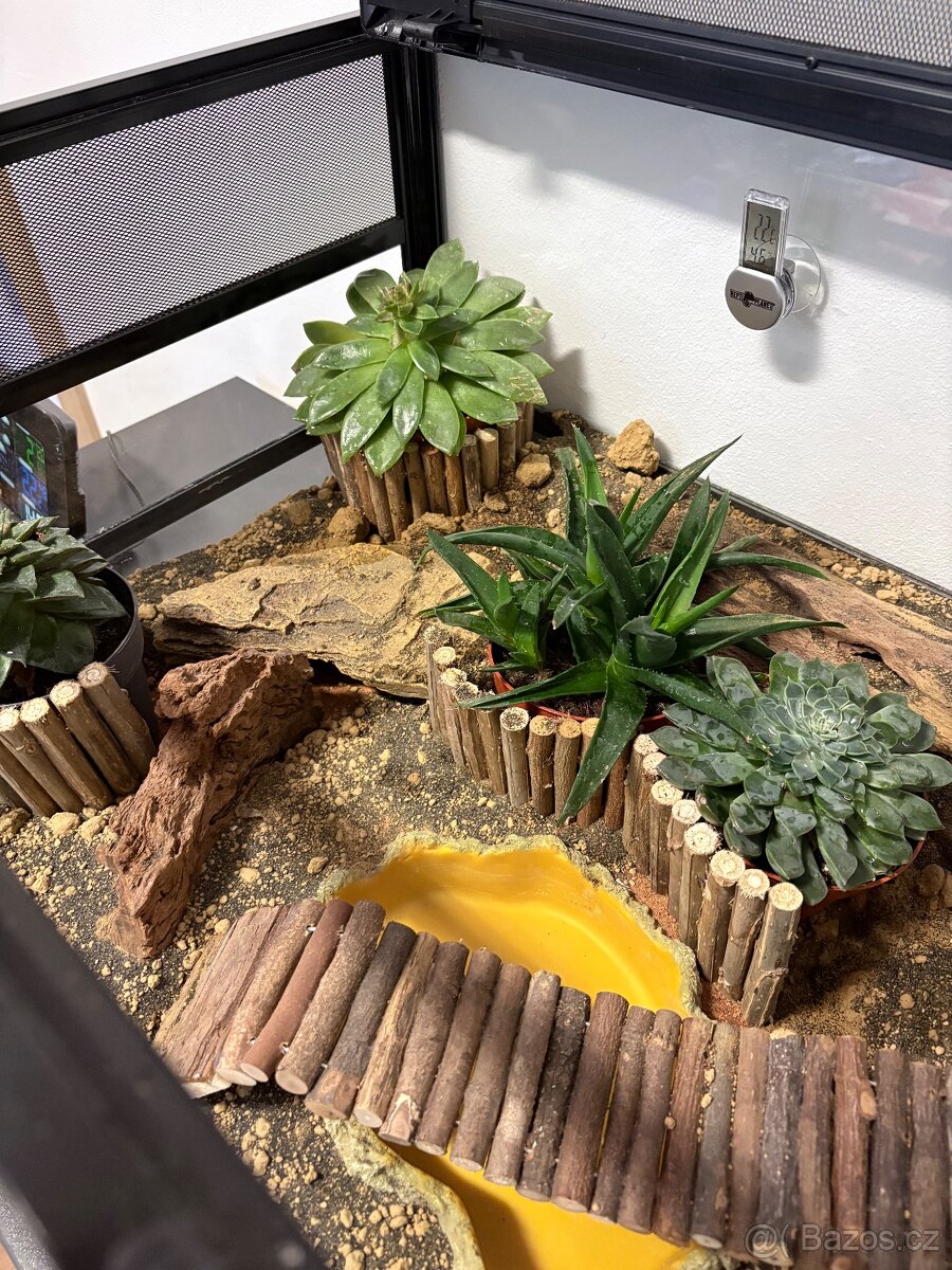 Kompletní terárium ReptiPlanet – plně vybavené - 2