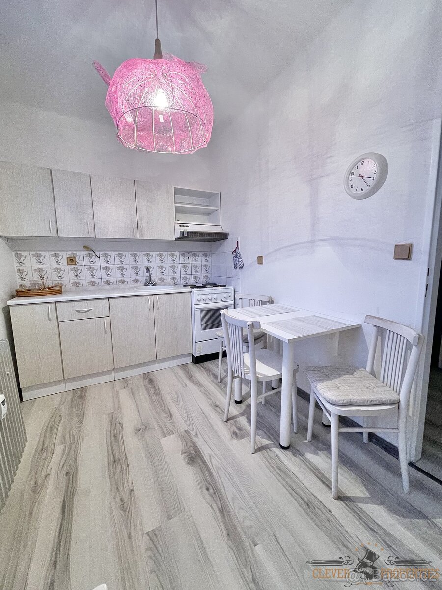 Nabízíme pronájem bytu 1+1 Okružní, Dvůr Králové nad Labem - 2