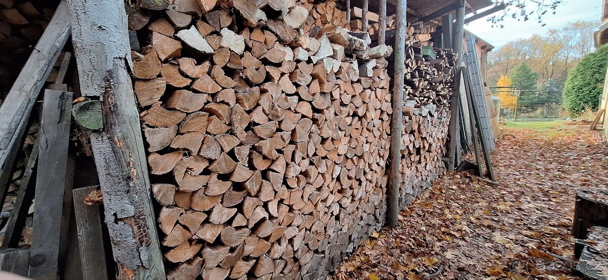 Palivové dříví-štípané - 2