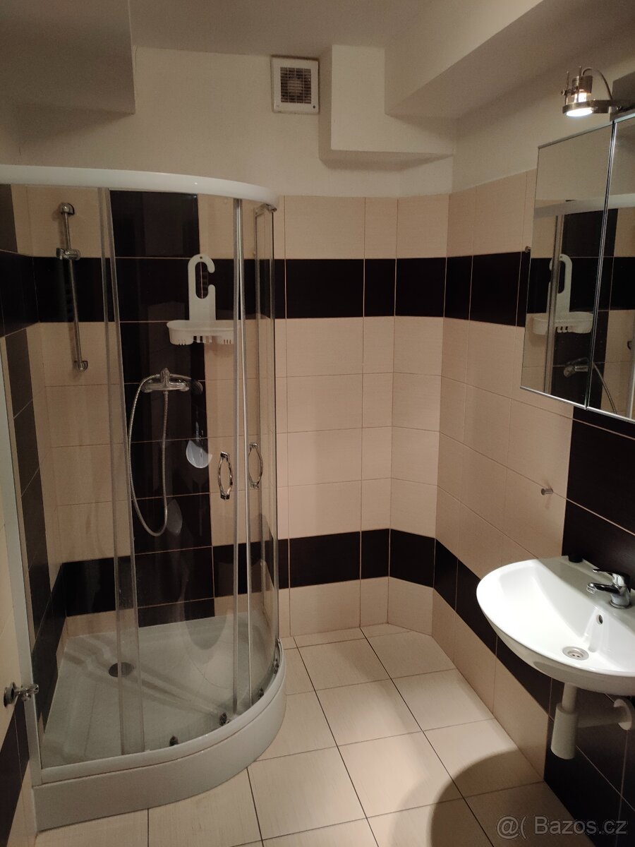 Pronájem bytu 1+kk ve Bzenci - 2