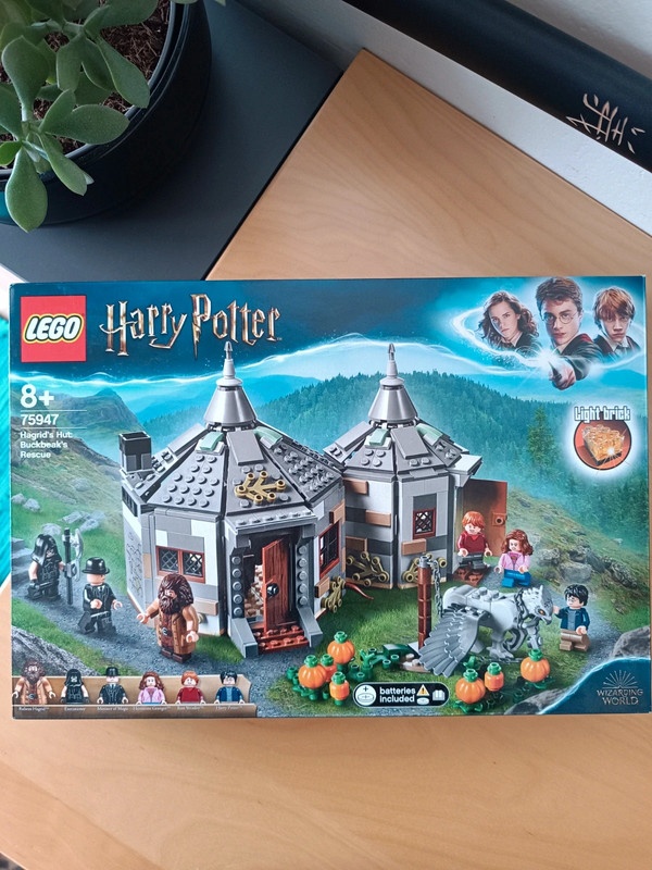 ☘️ LEGO Harry Potter 75947 Hagridova bouda: Záchrana Klofana - 2