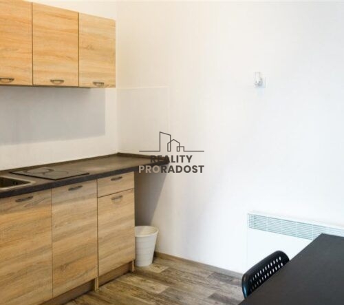 Podnájem vybavené jednotky 2+1, 41,3m2, Václavská, Brno-Star - 2