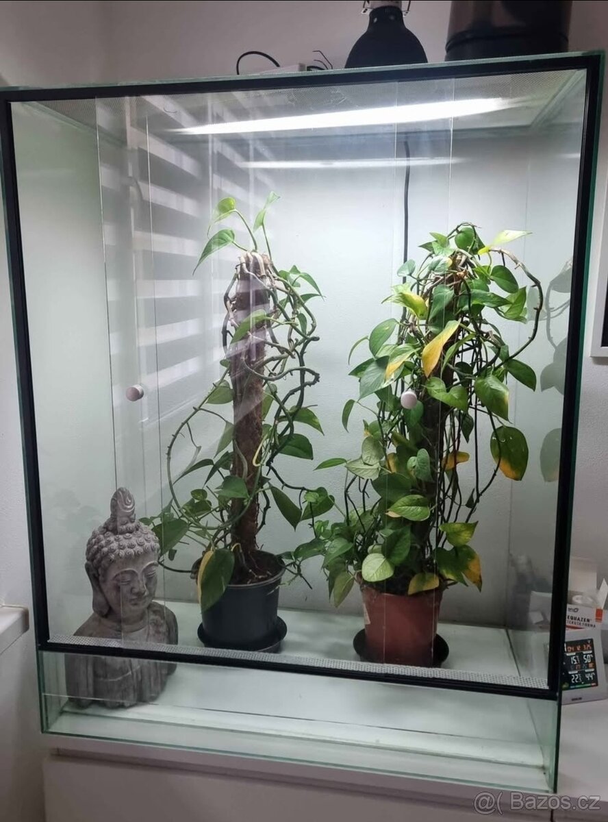 Terárium š80, v100, h50 - 2