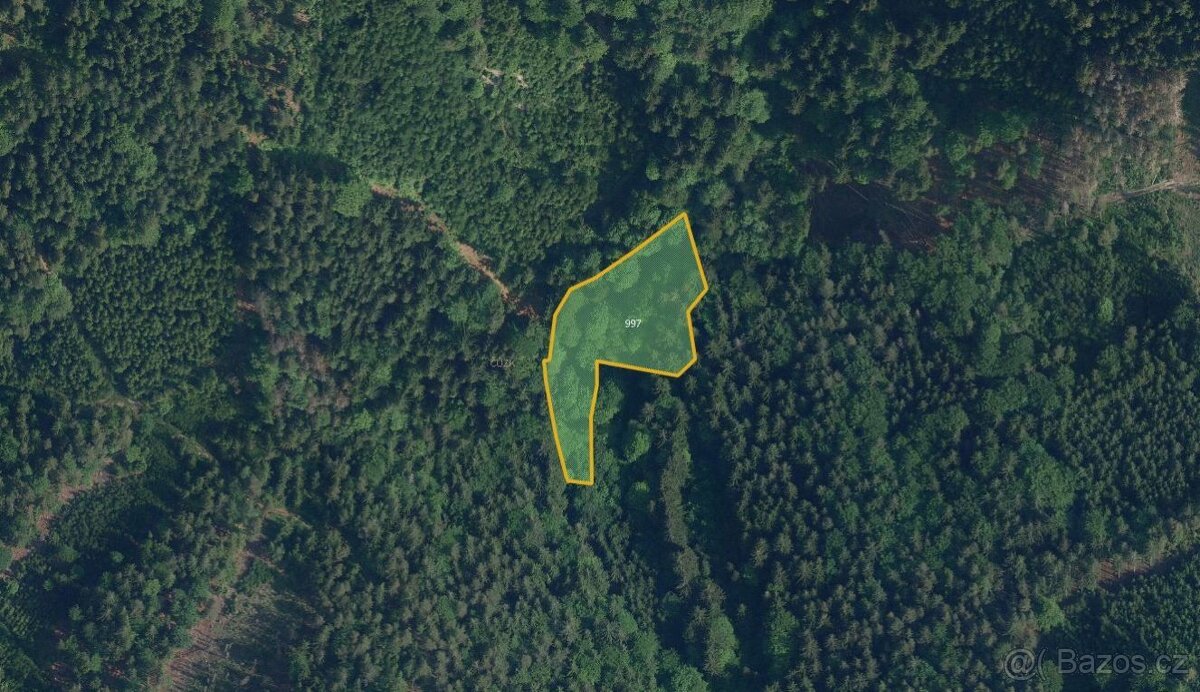 Zemědělská půda, prodej, Jílové u Držkova, Jablonec nad Niso - 2