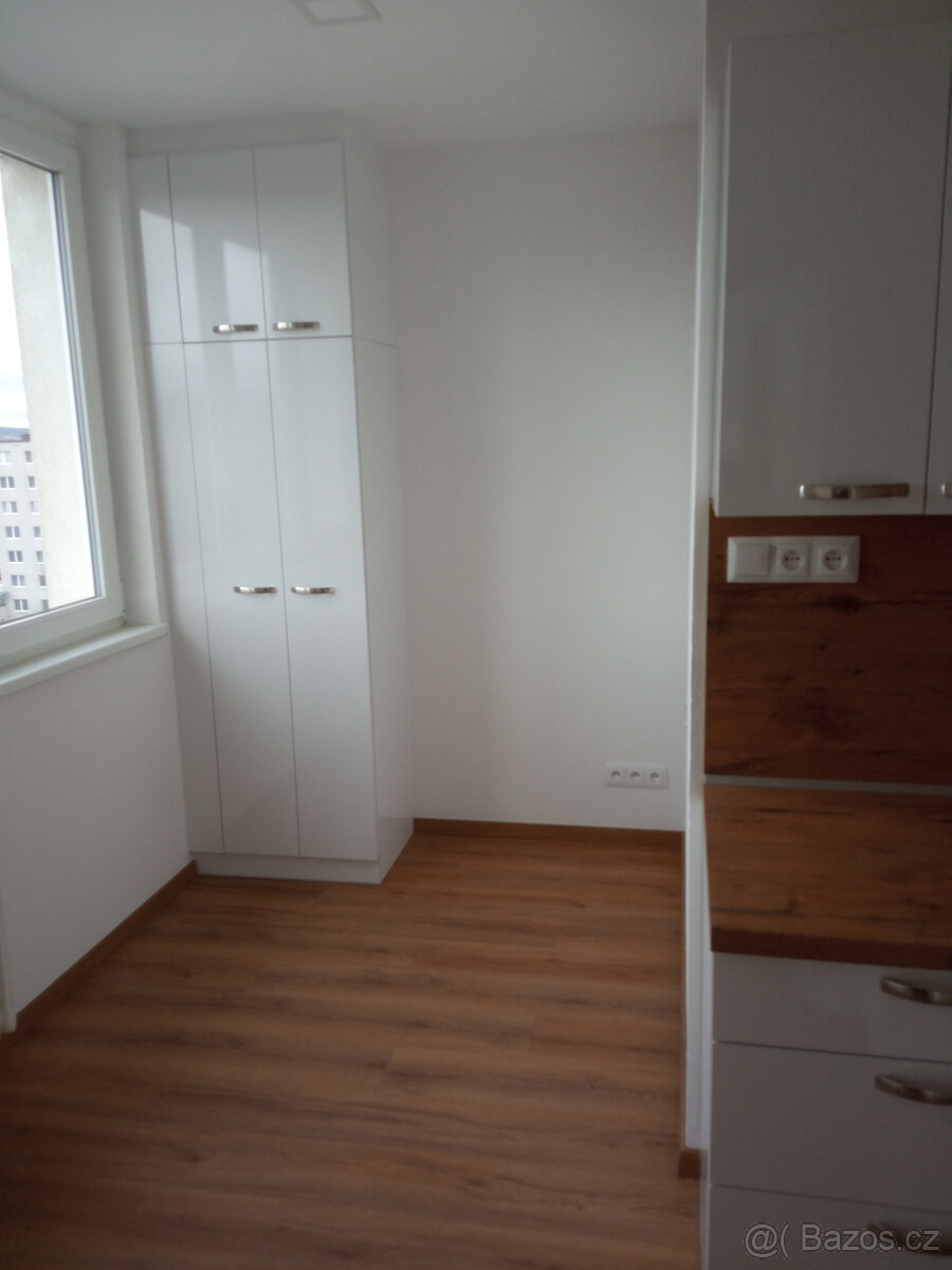Pronájem bytu 2+1 - 2