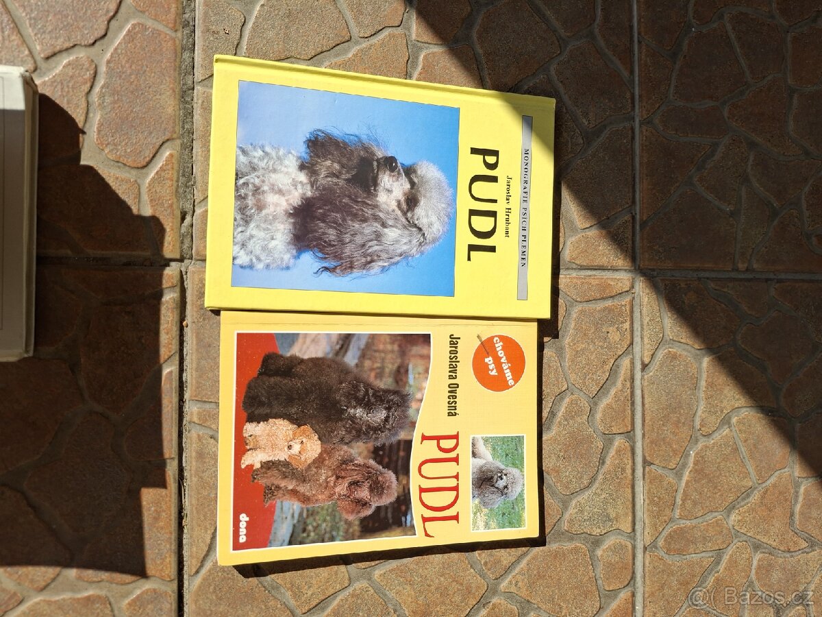 Pudl - 2