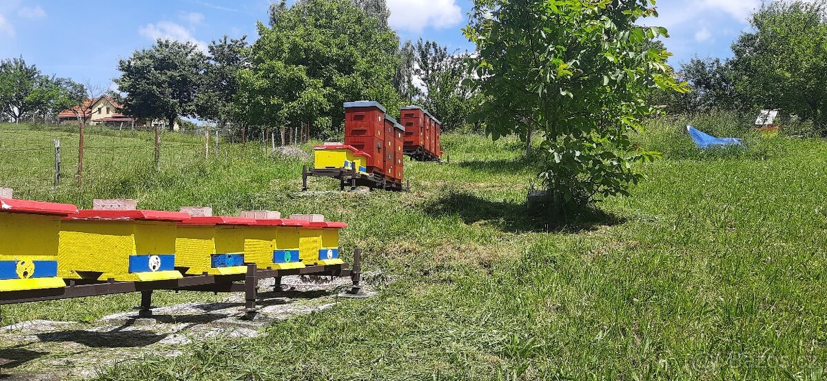 VČELÍ ODDĚLKY 2025 - 2