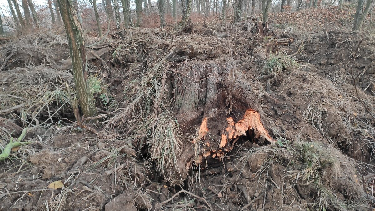 Daruji kořeny na topení - 2