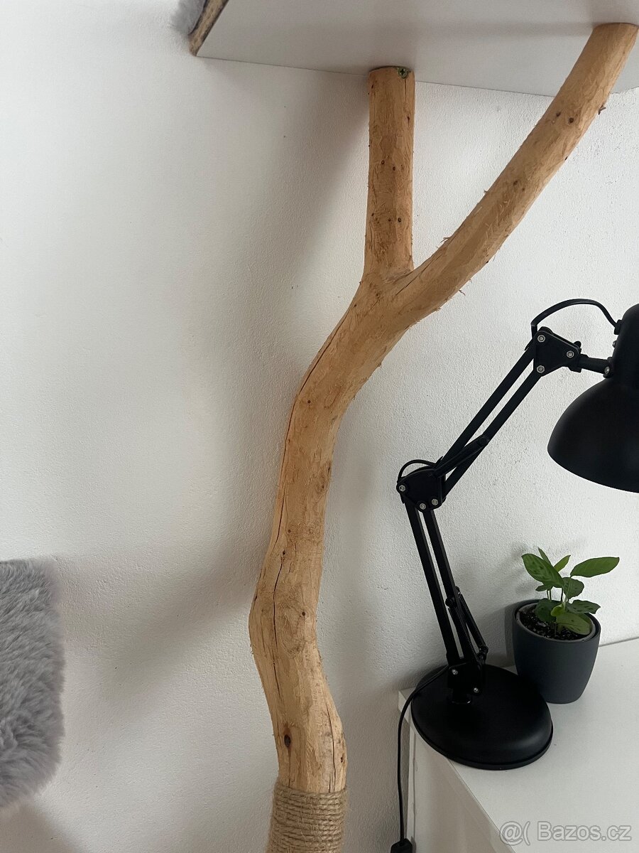 Kočičí strom z masívu - 2