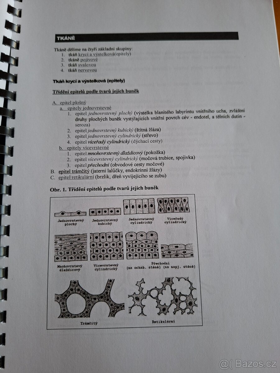 Obecná anatomie - 2