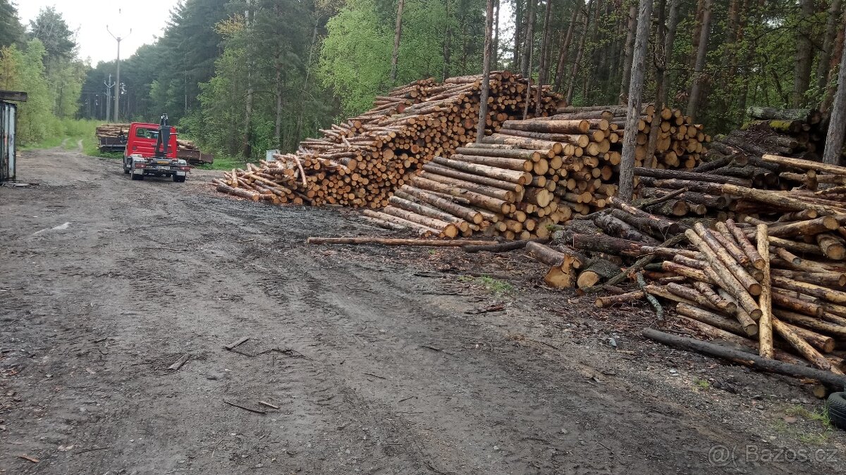 Palivové štípané dřevo Třemošná - 2