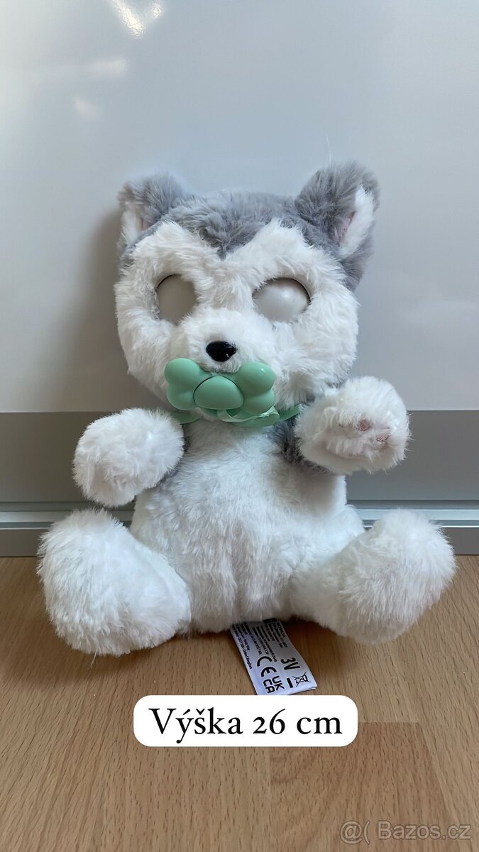 Pes Husky - baby Paws - 2