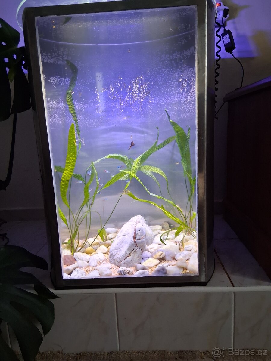 Akvarium - 2