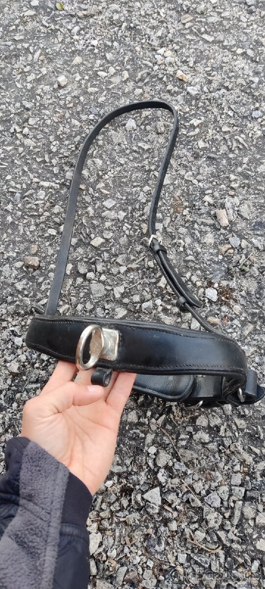 Prodám obnosek COB na uzdečku - 2