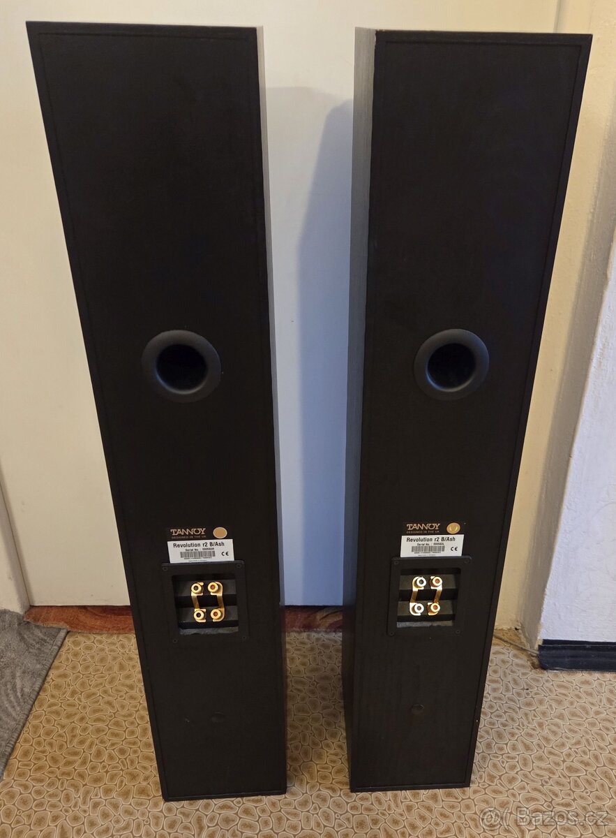 Tannoy Revolution r2 B/Ash - 2