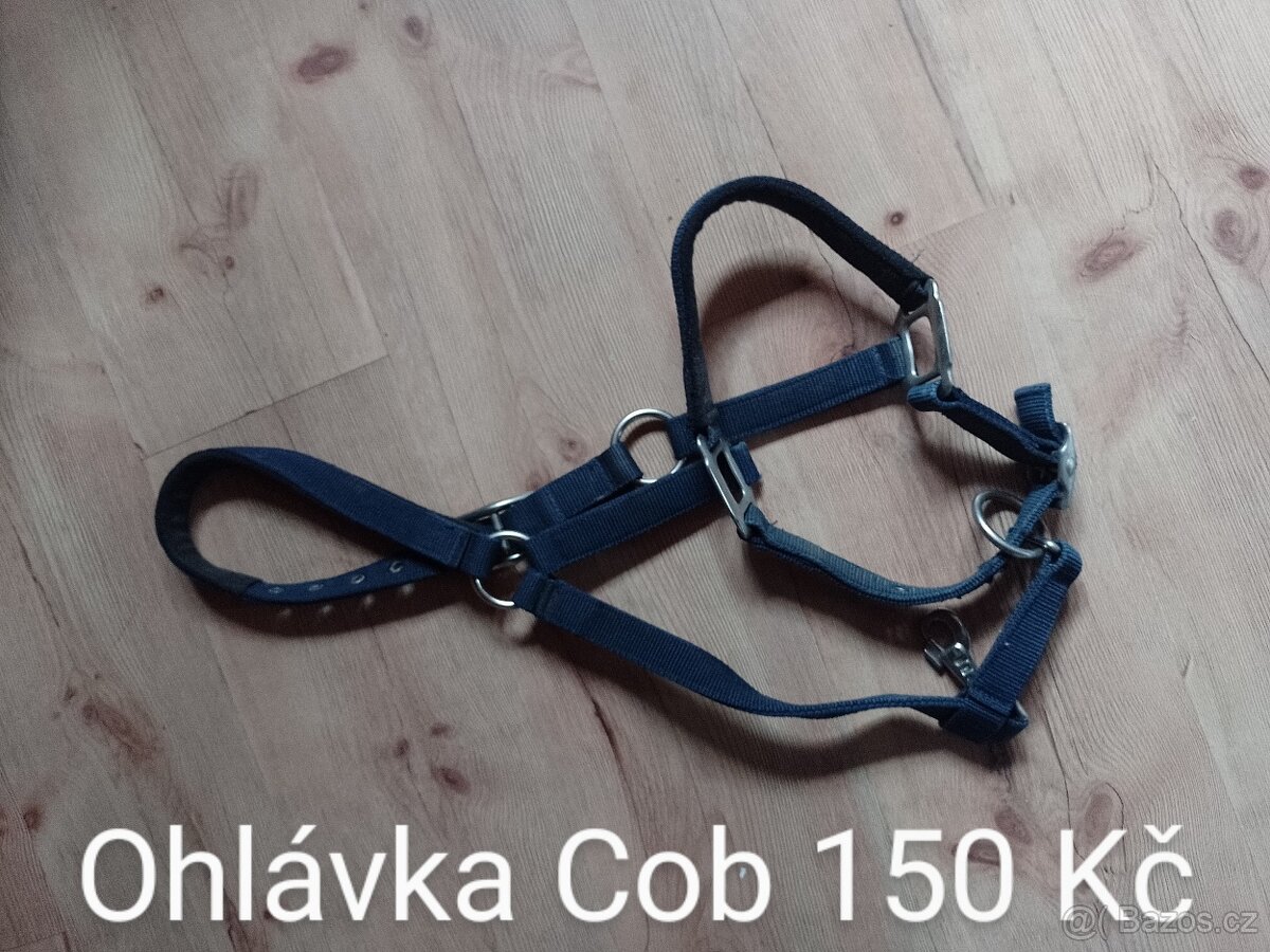 Jezdecké potřeby - 2