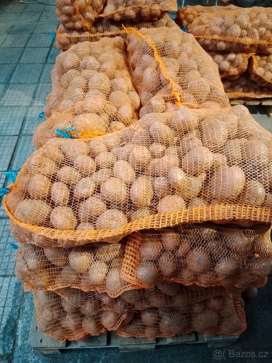 Brambory na uskladnění - 2