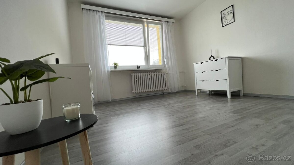 Pronájem bytu 1+kk, Děčín - Letná - 2