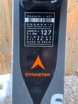 Juniorské lyže Dynastar Speed Team Pro, 127 cm - 2