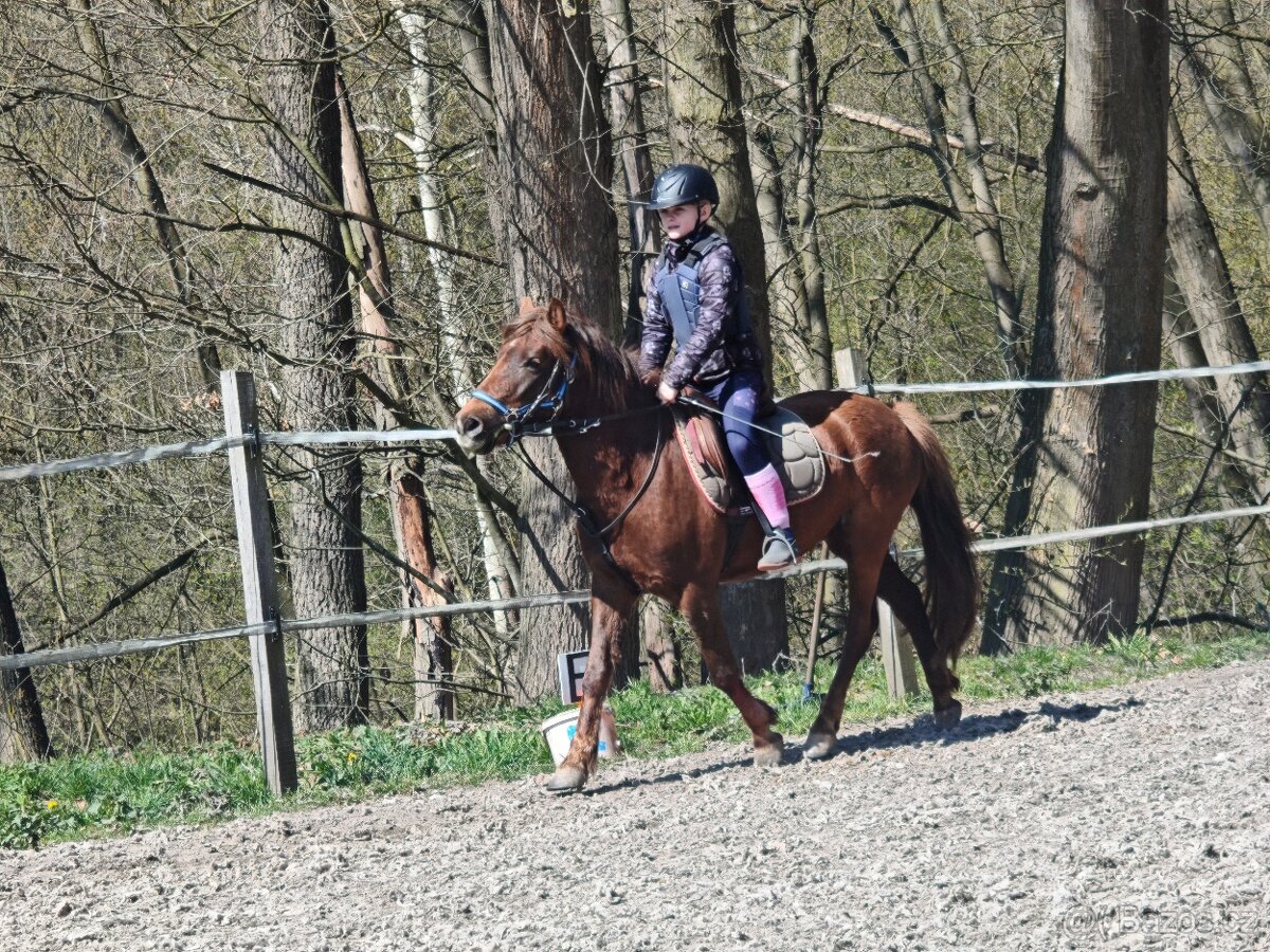 Školní pony - 2
