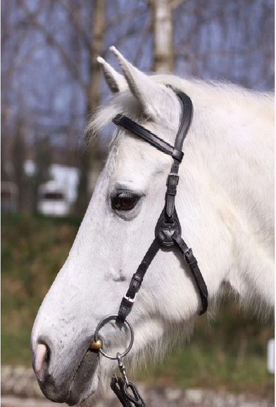 Uzdečka Barefoot “Contour Physio“ multifunkční + nánosník - 2